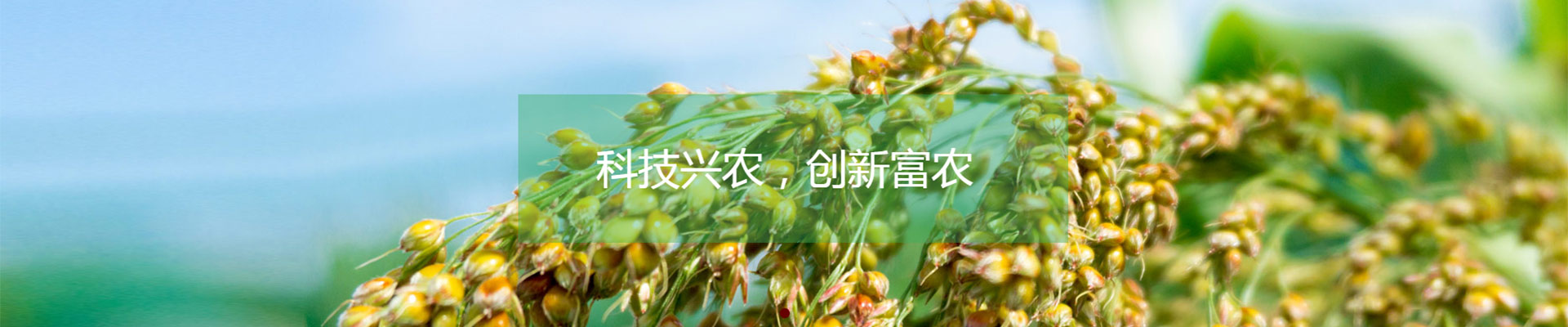 website website